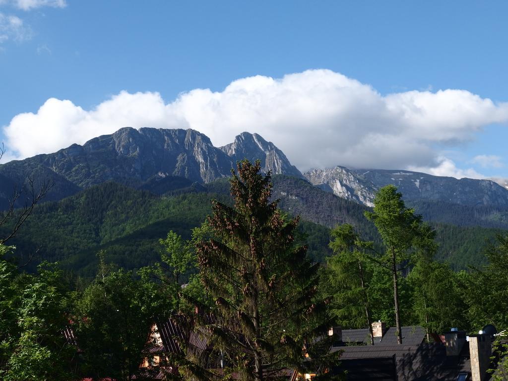 Hotel Lipowy Dwor Zakopane Exterior foto
